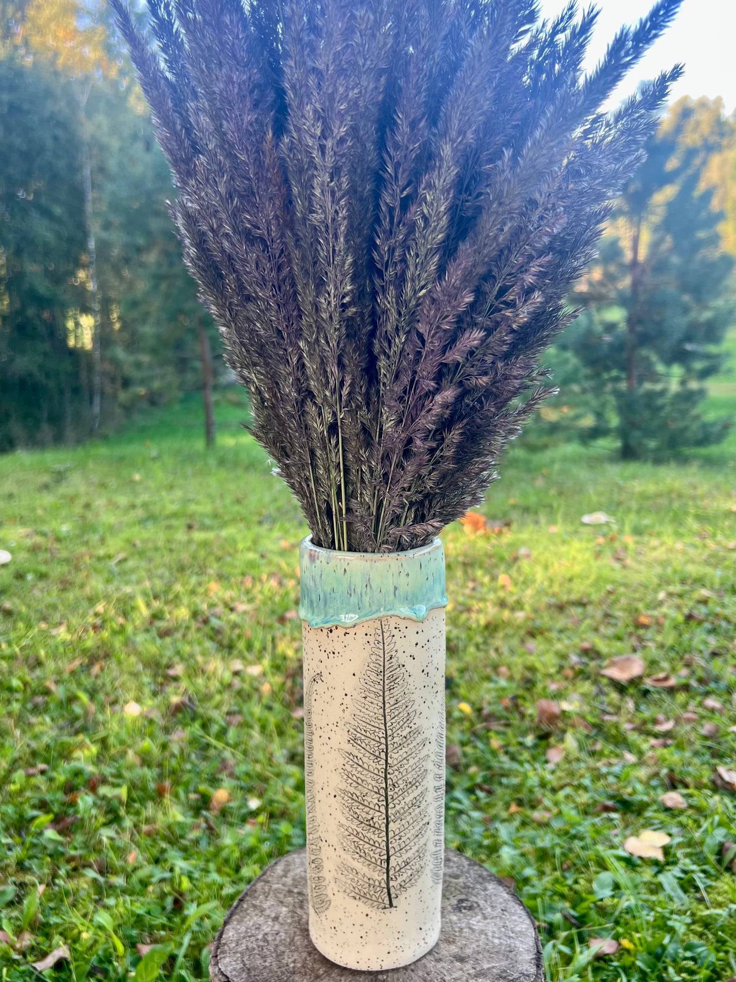Vase Ferns