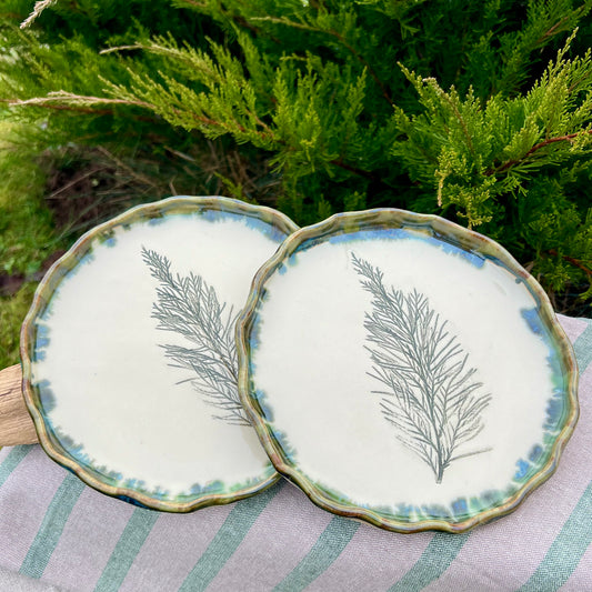 Šķīvis Kadiķa Zariņš