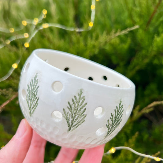 Svečturis Draudzība