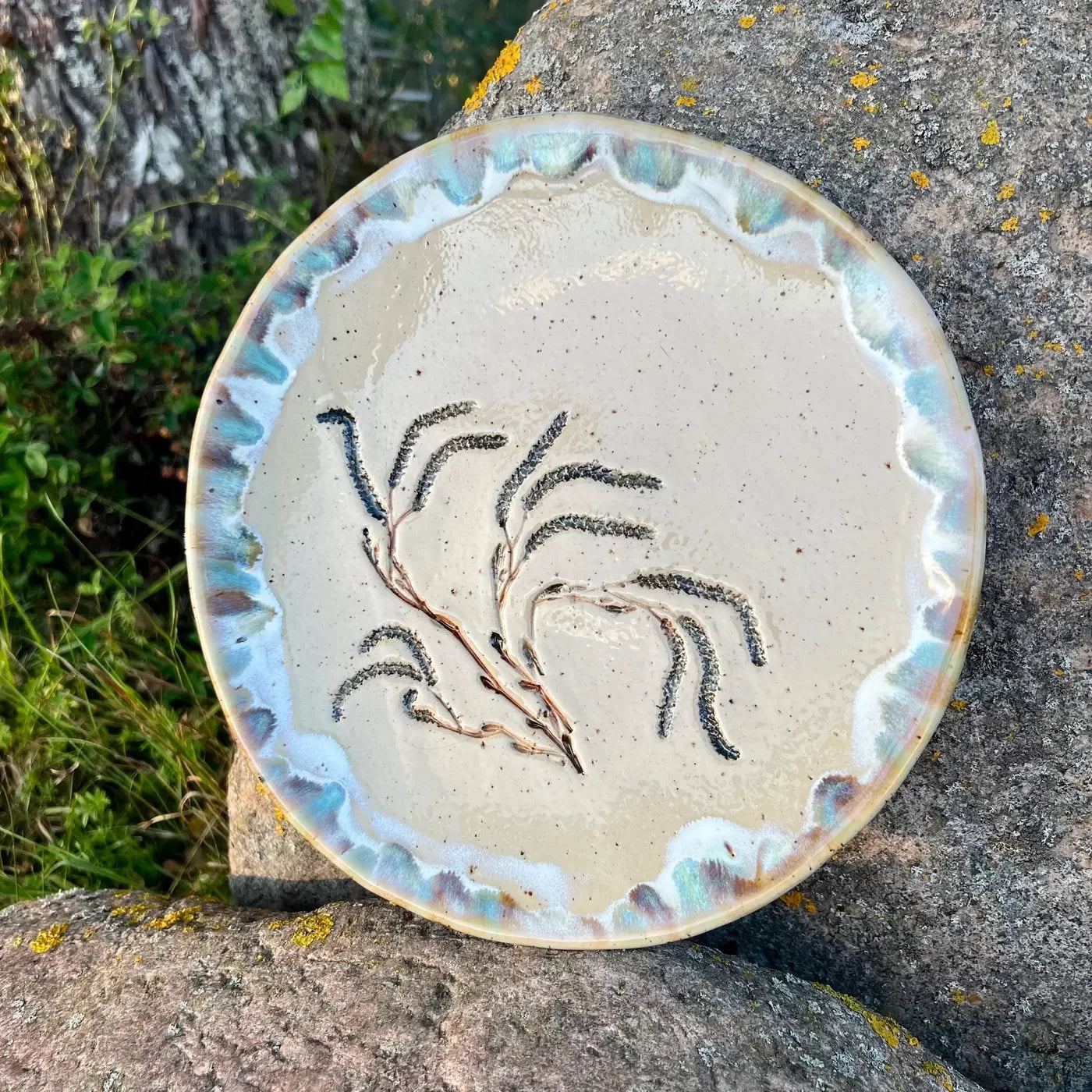 Liels šķīvis Lazdas ziedēšana