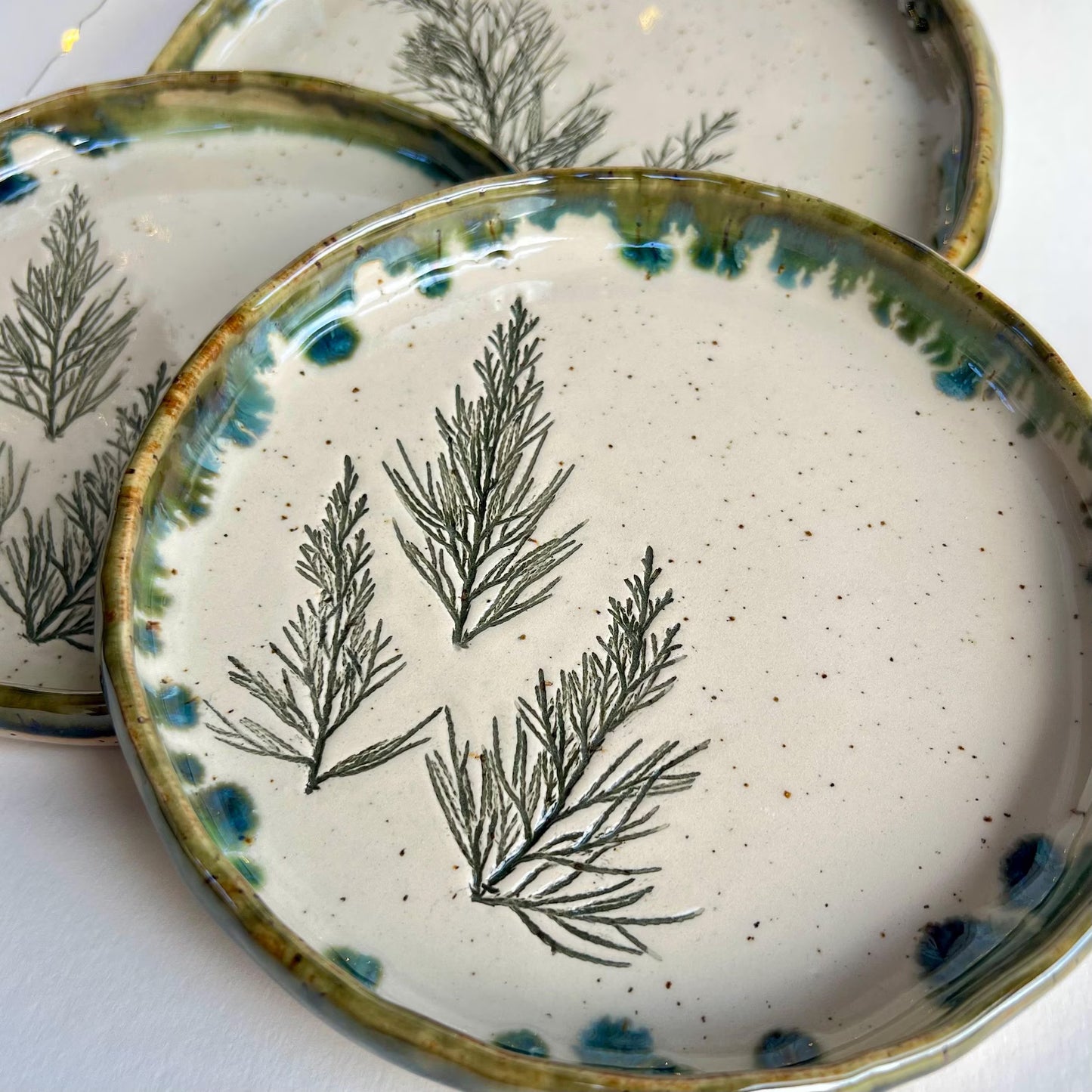 Šķīvis Kadiķītis