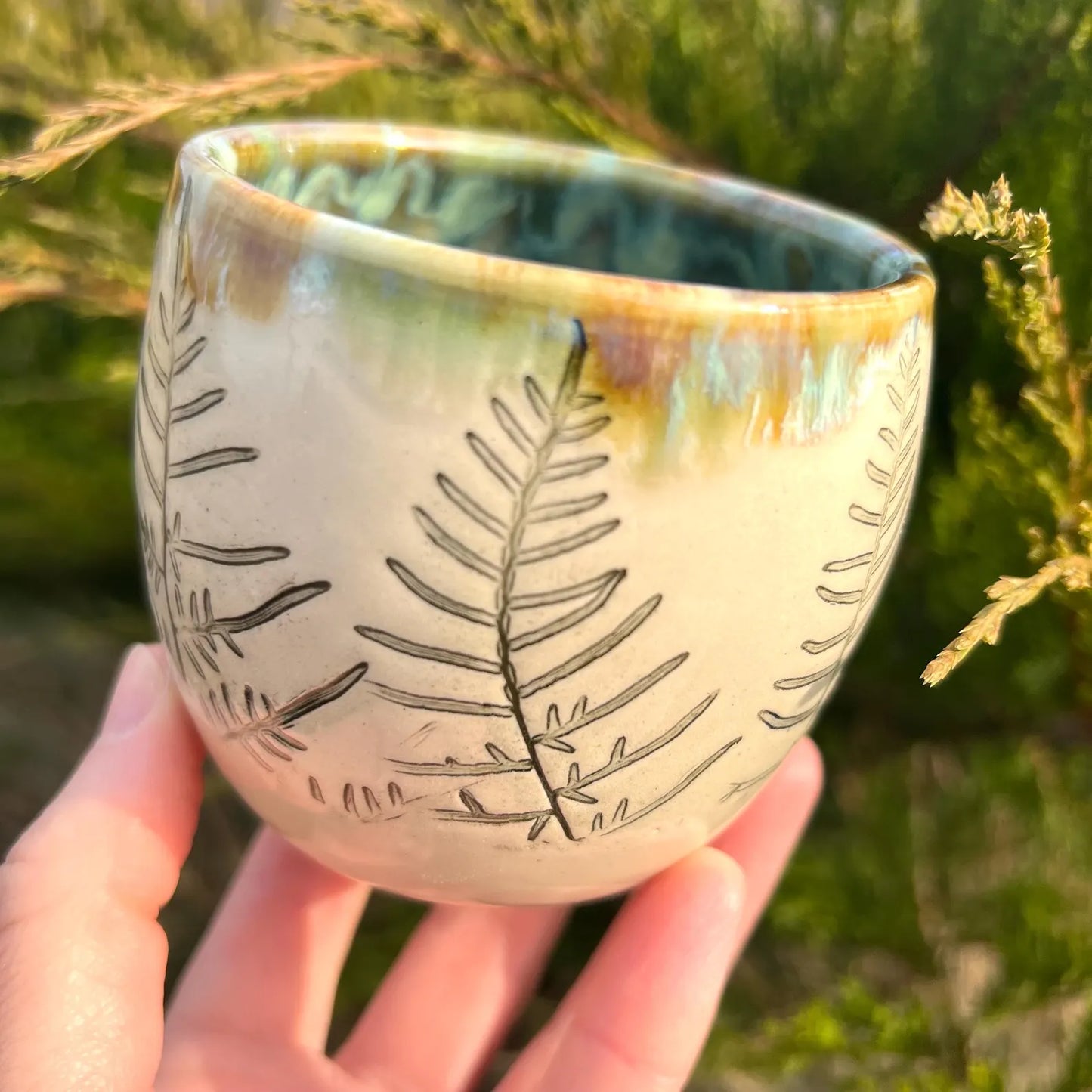 Glāzīte ar papardēm