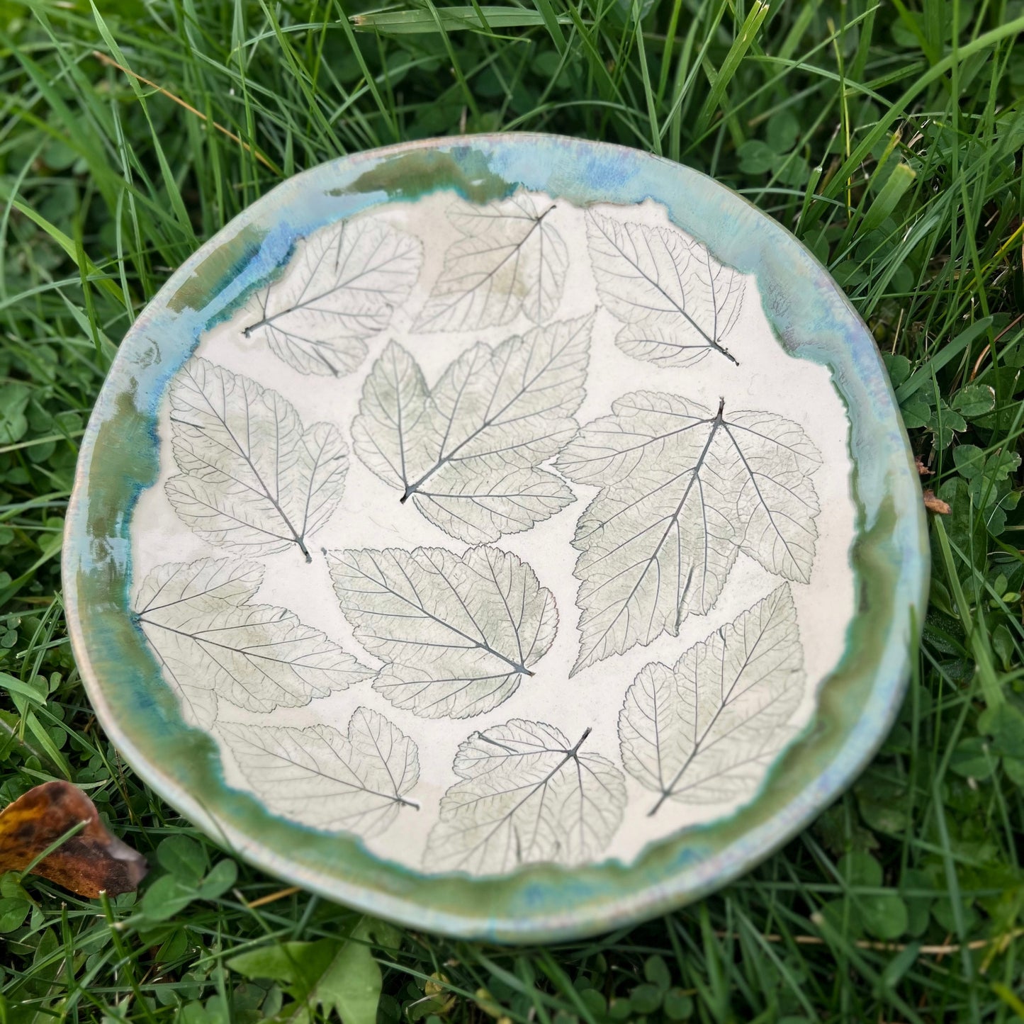 Bowl Green Leaves