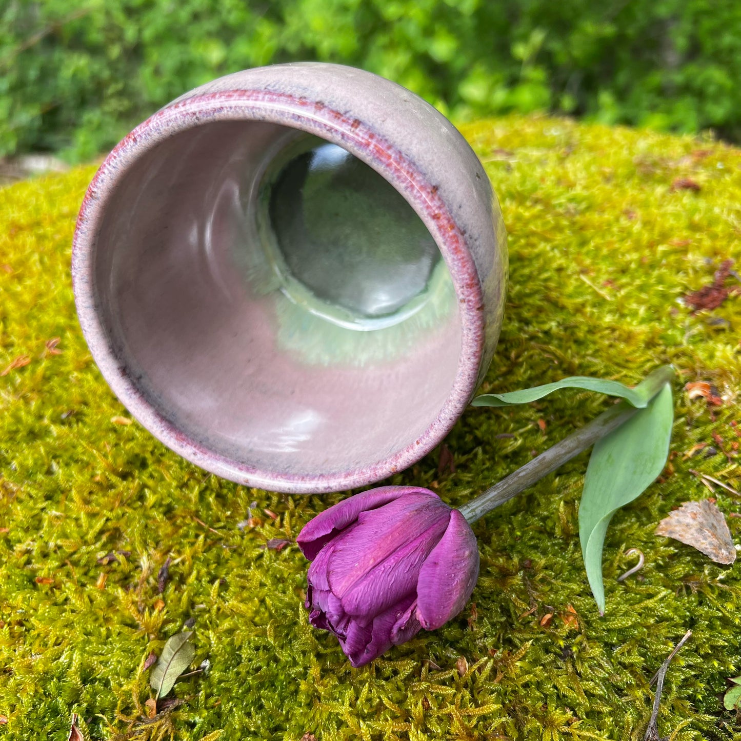 Bowl Tulip