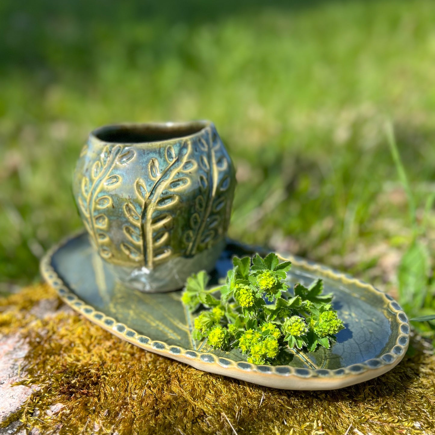 Plant Pot and Plate Leaves