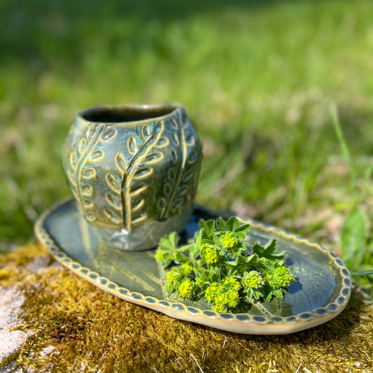 Plant Pot and Plate Leaves