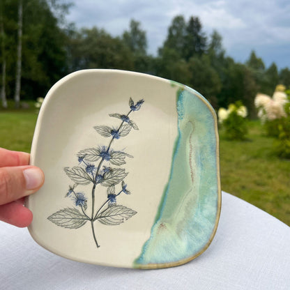 Kafijas Tasīte Piparmētra