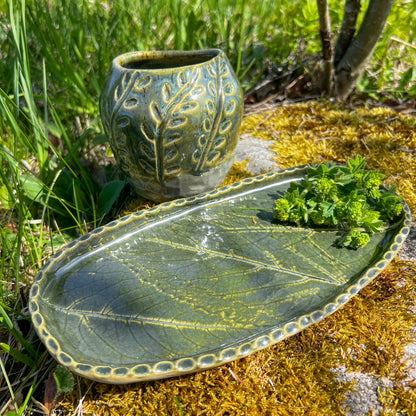 Plant Pot and Plate Leaves