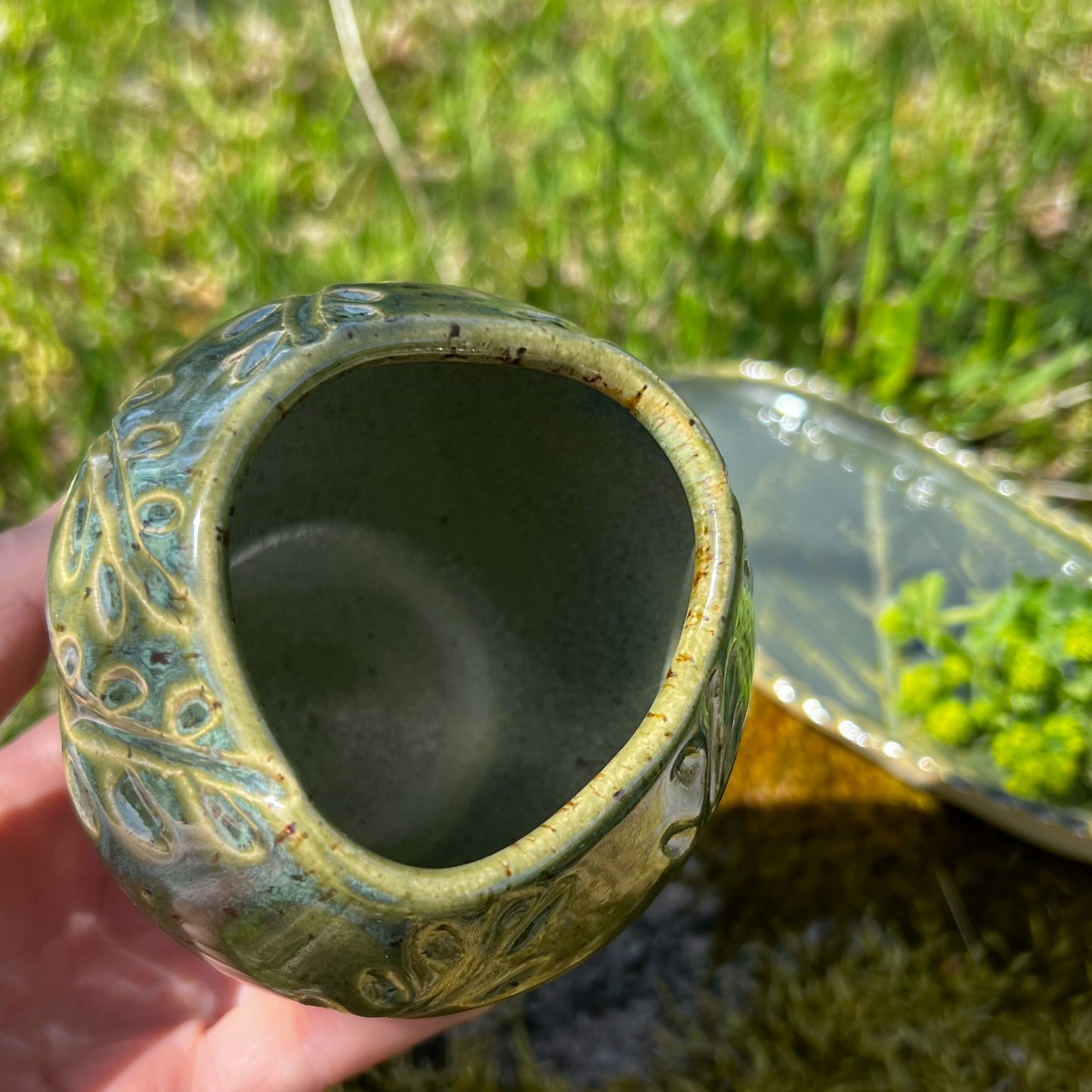 Plant Pot and Plate Leaves