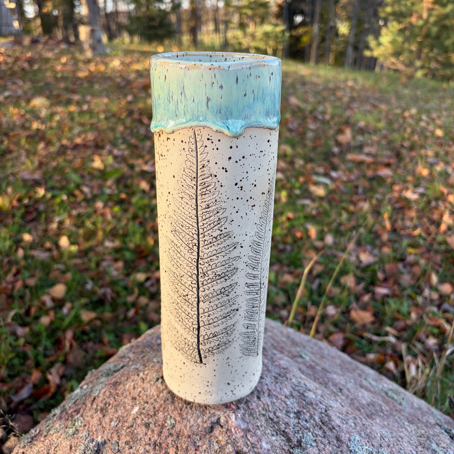 Rustic vase with Ferns