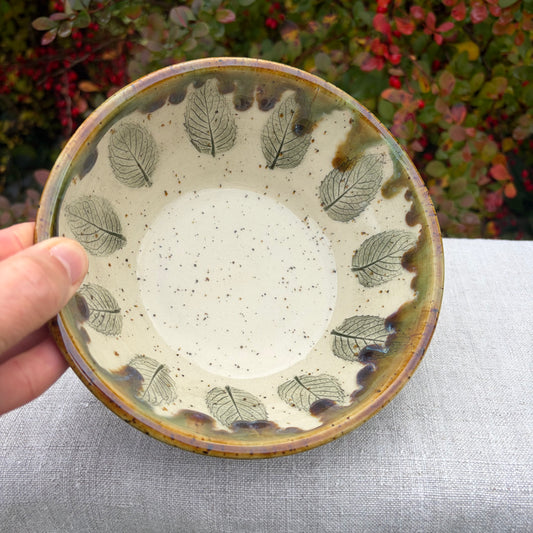 Bowl Autumn
