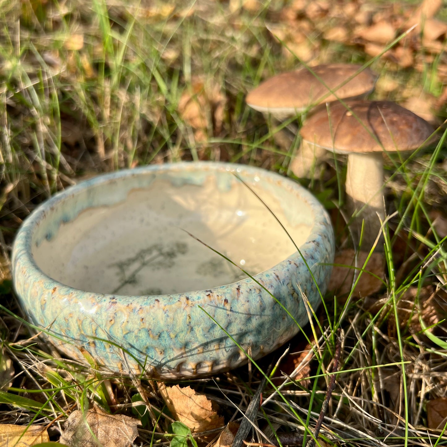 Maza deserta bļodiņa