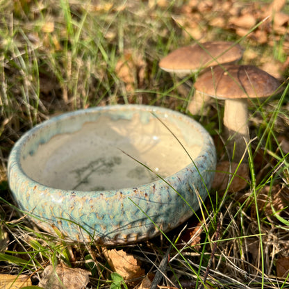 Maza deserta bļodiņa