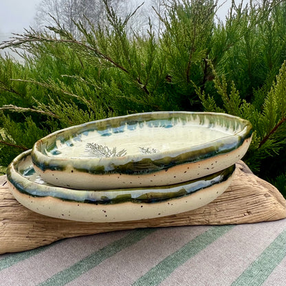 Šķīvis Kadiķītis