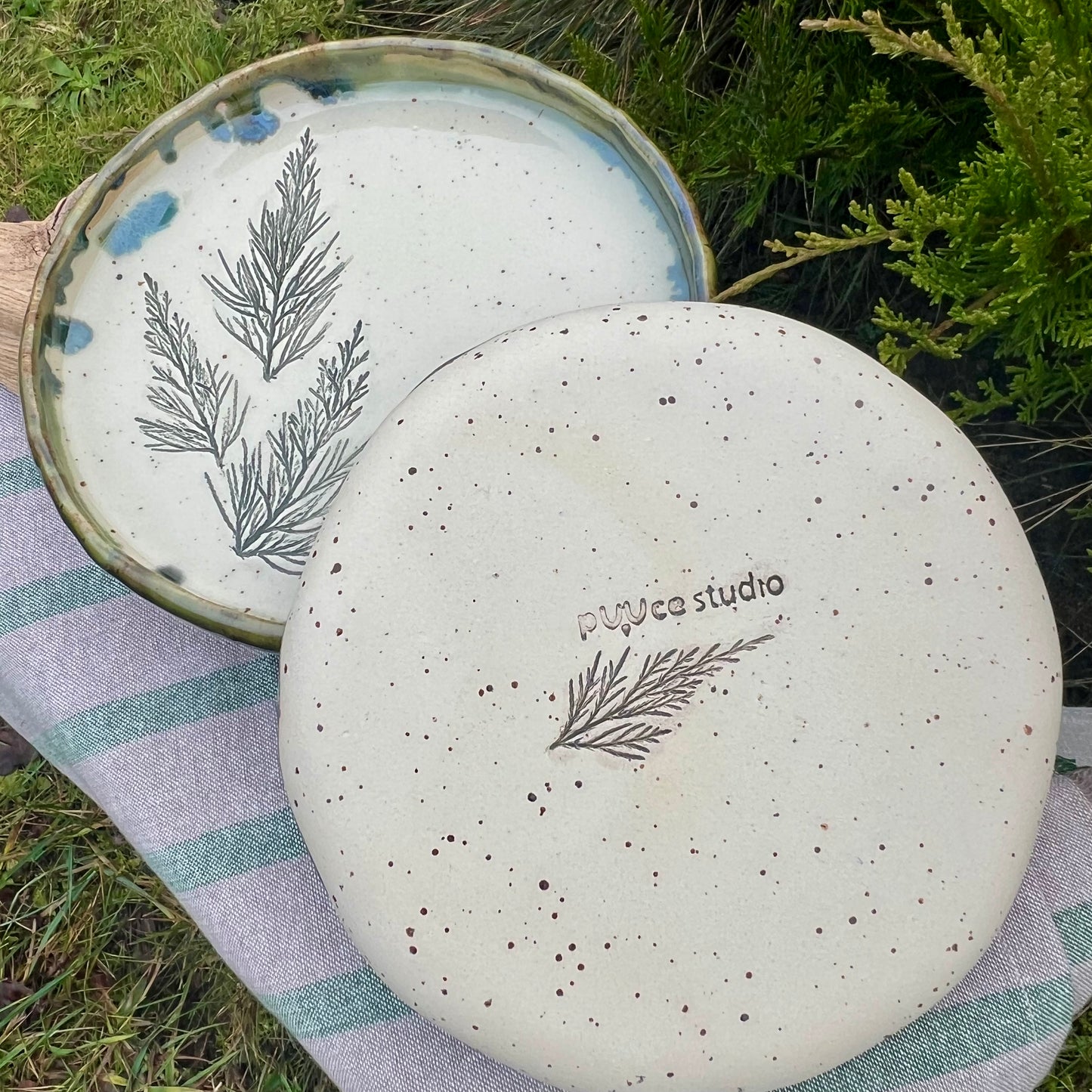 Šķīvis Kadiķītis