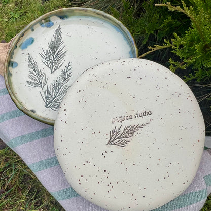 Šķīvis Kadiķītis