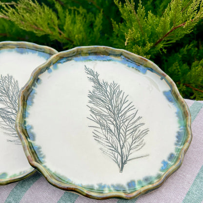 Šķīvis Kadiķa Zariņš