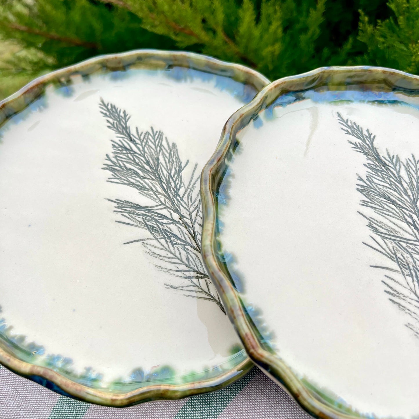 Šķīvis Kadiķa Zariņš