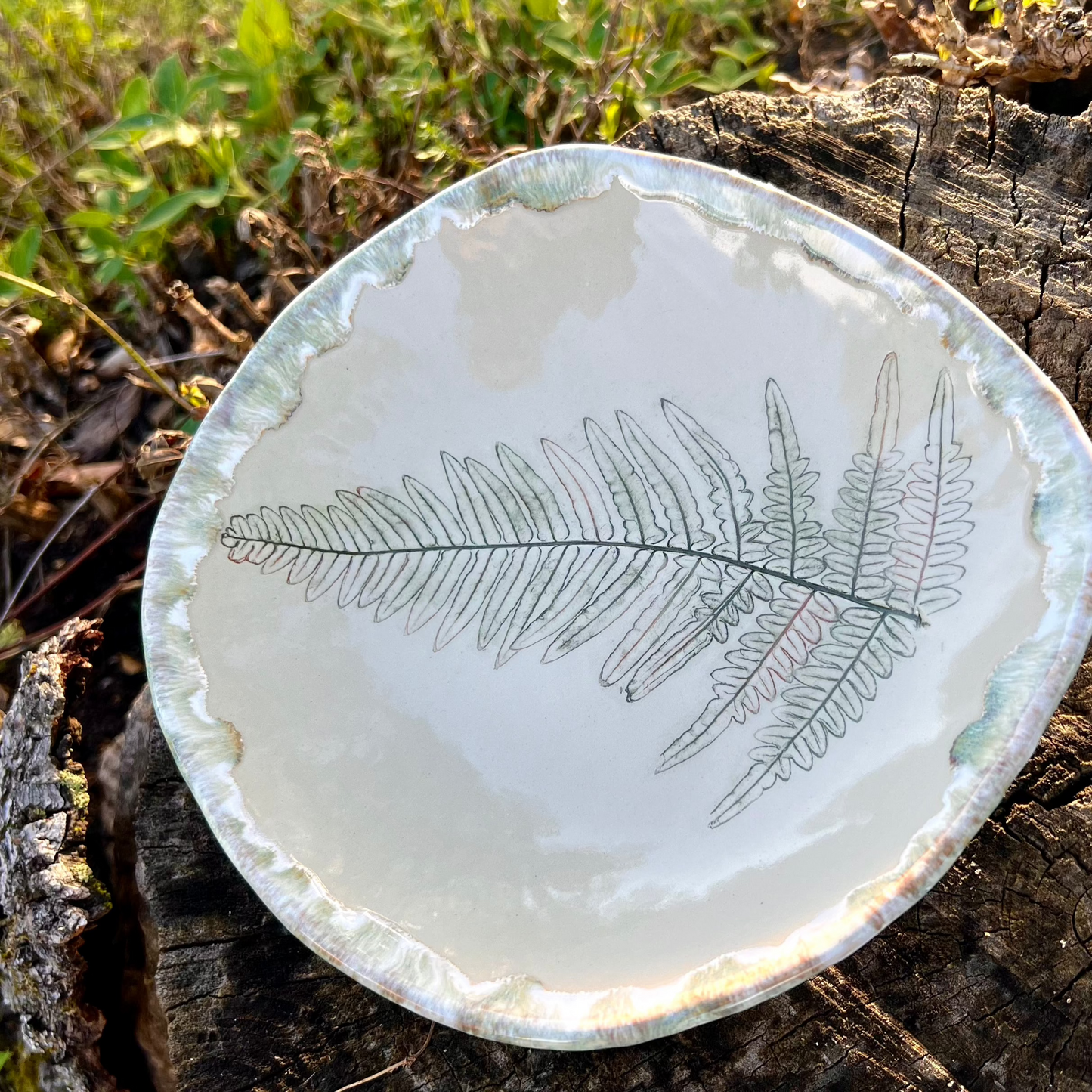 Bowl Fern