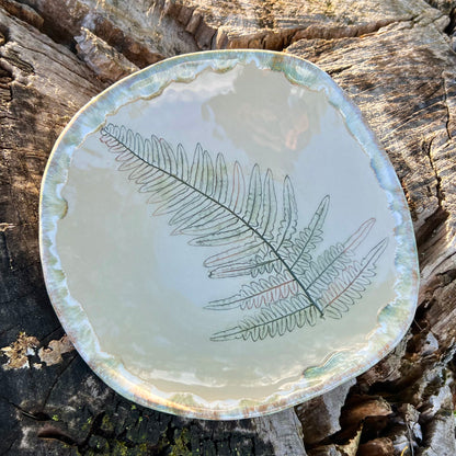 Bowl Fern