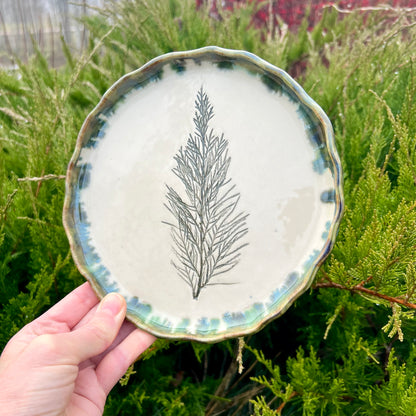 Šķīvis Kadiķa Zariņš