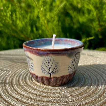 Svece Rudens