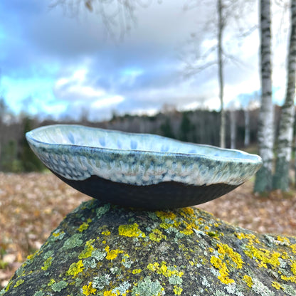 Bowl Winter