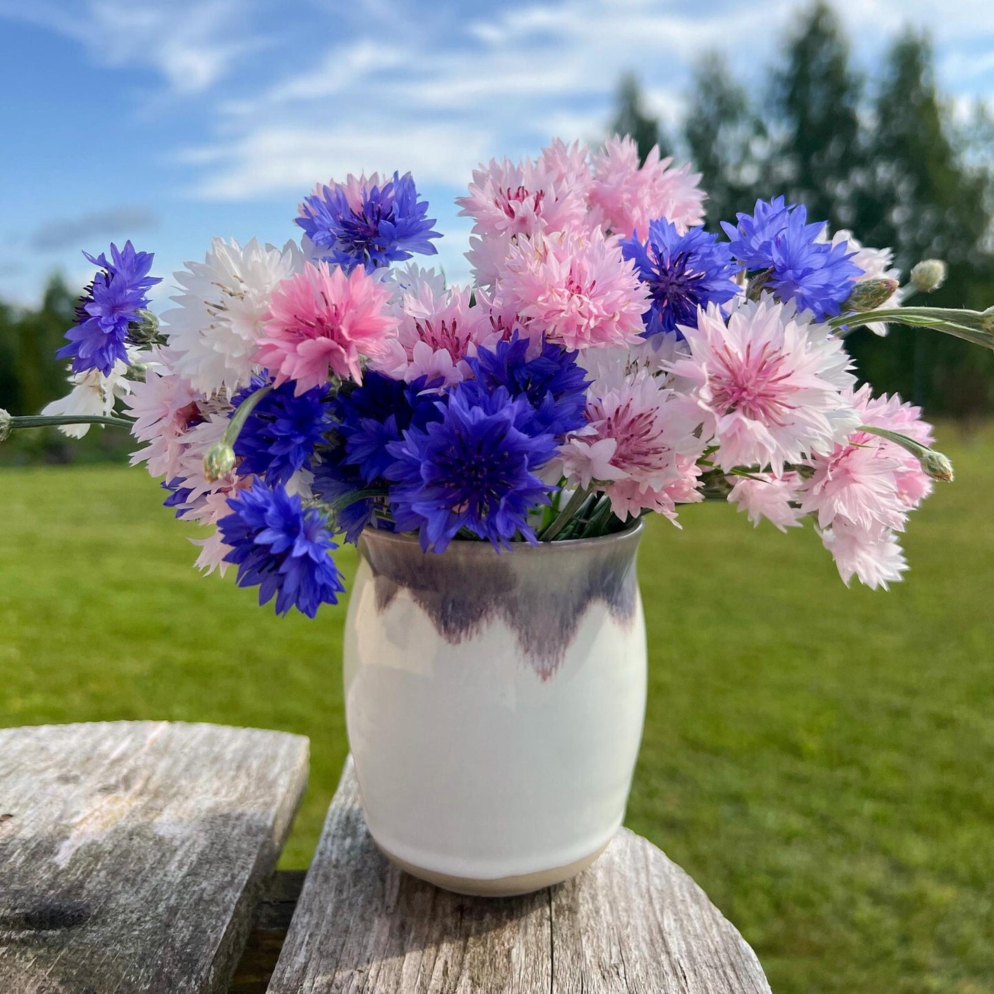 Vāze Korintes ziedi