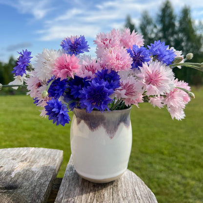 Vāze Korintes ziedi