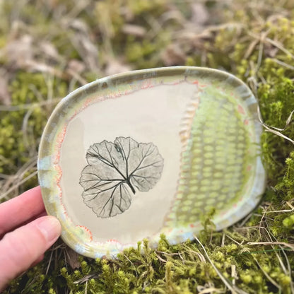 Kafijas Tasīte Pauze