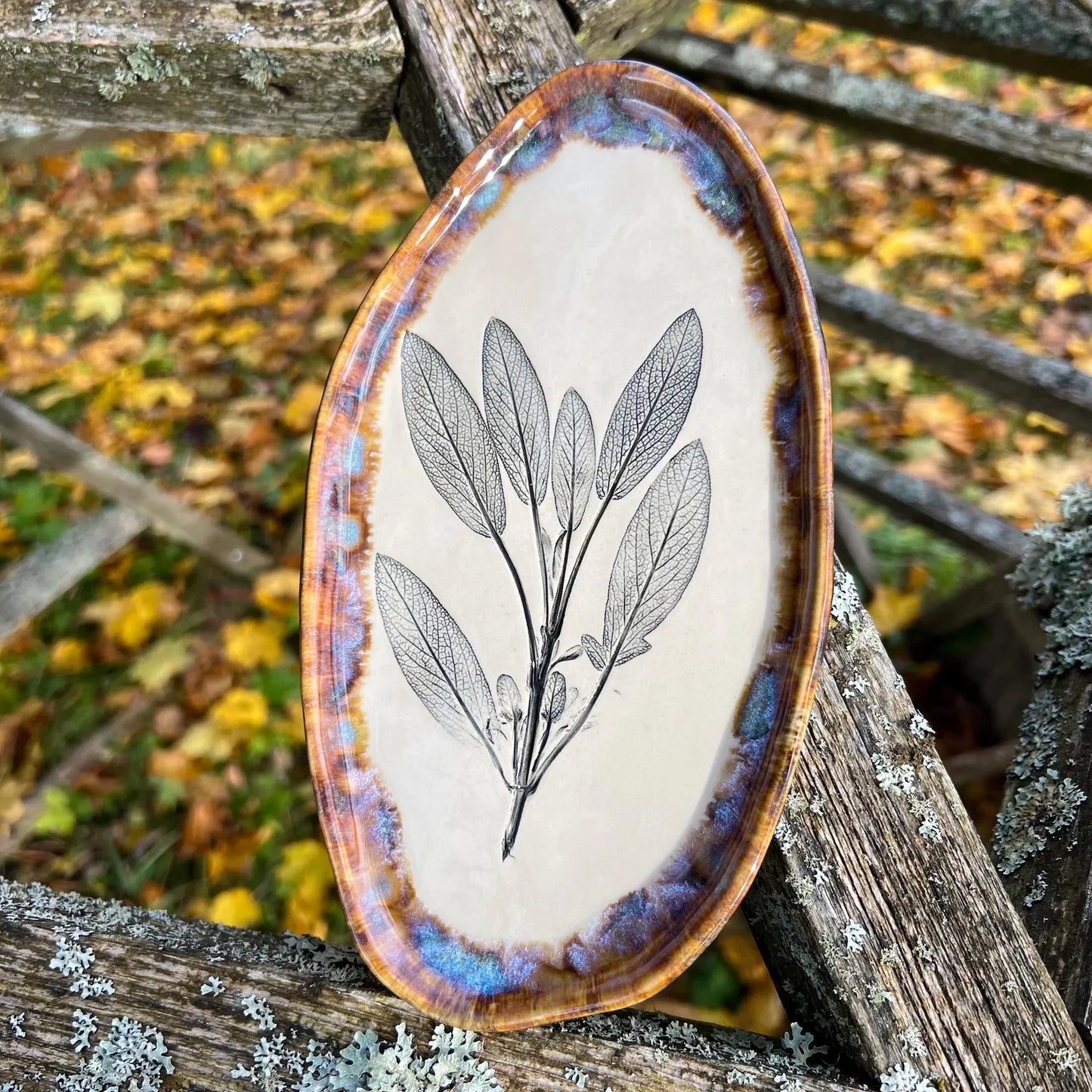 Šķīvis Salvijas lapas