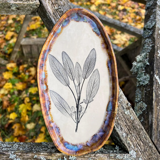 Šķīvis Salvijas lapas