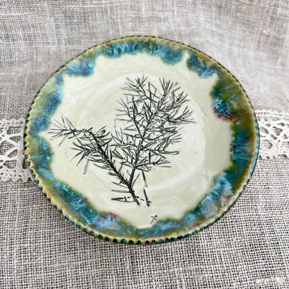 Šķīvītis Svētki