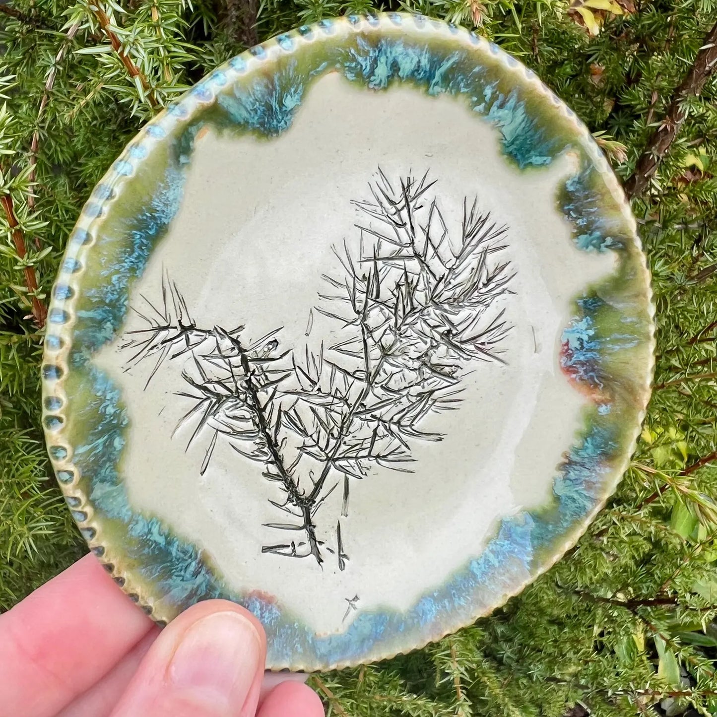 Šķīvītis Svētki