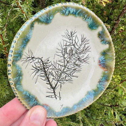 Šķīvītis Svētki