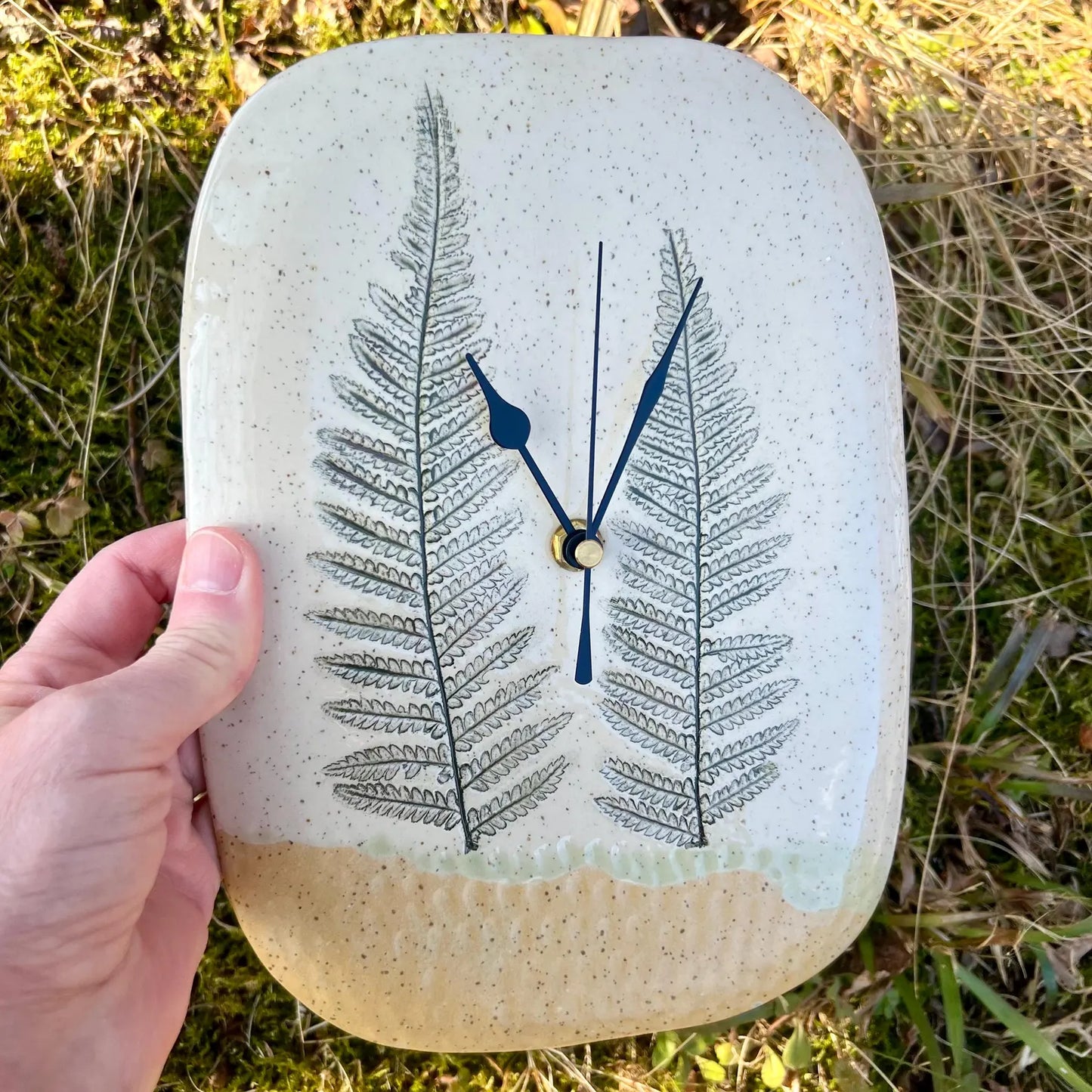 Sienas pulkstenis Papardes pļavā