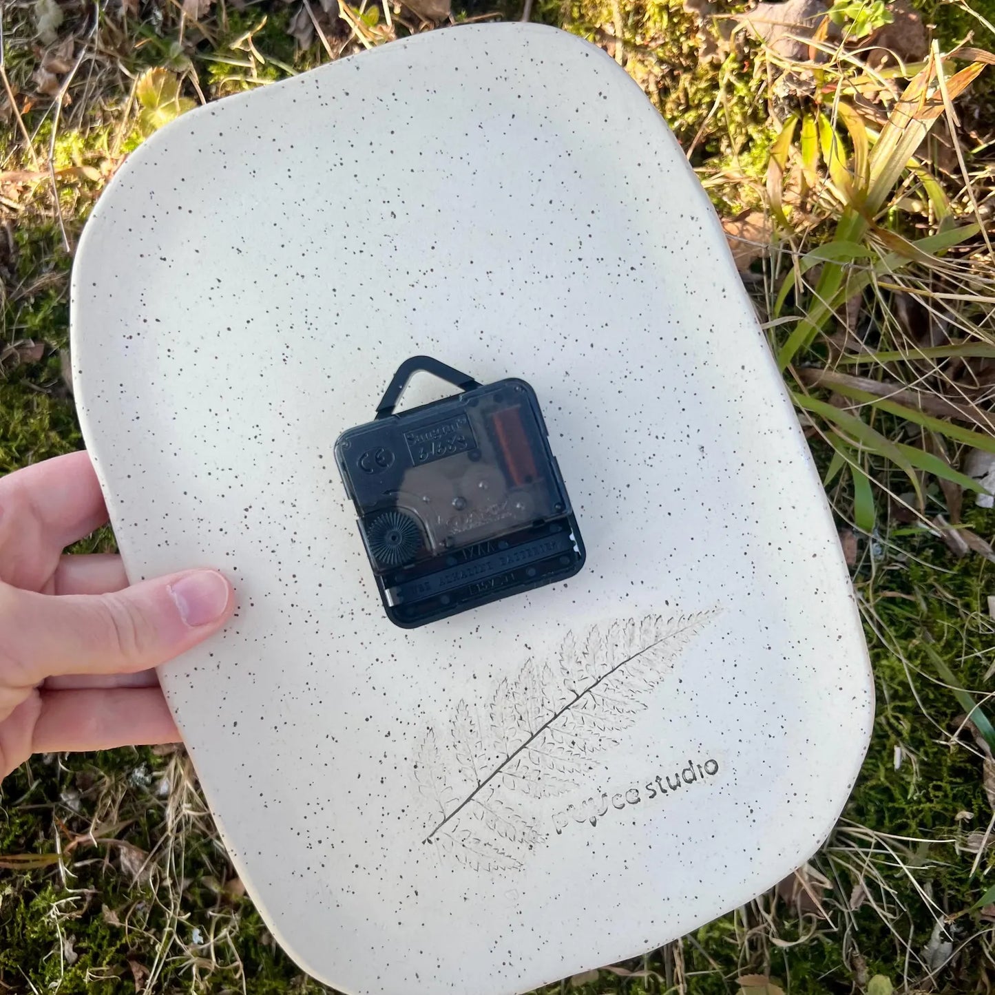 Sienas pulkstenis Papardes pļavā