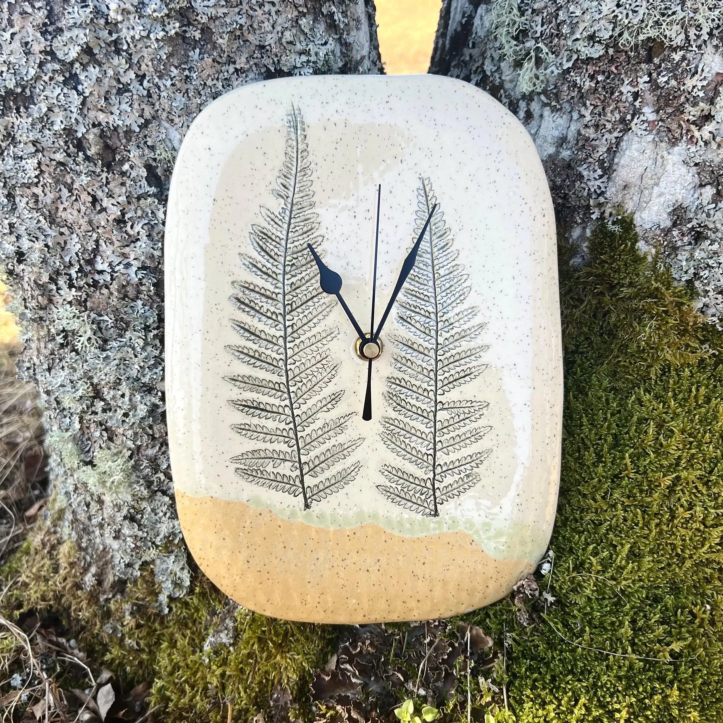 Sienas pulkstenis Papardes pļavā