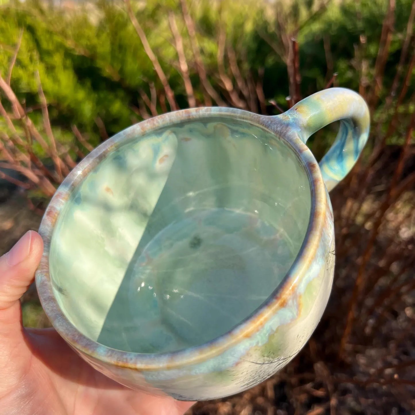 Liela krūze ar Papardēm