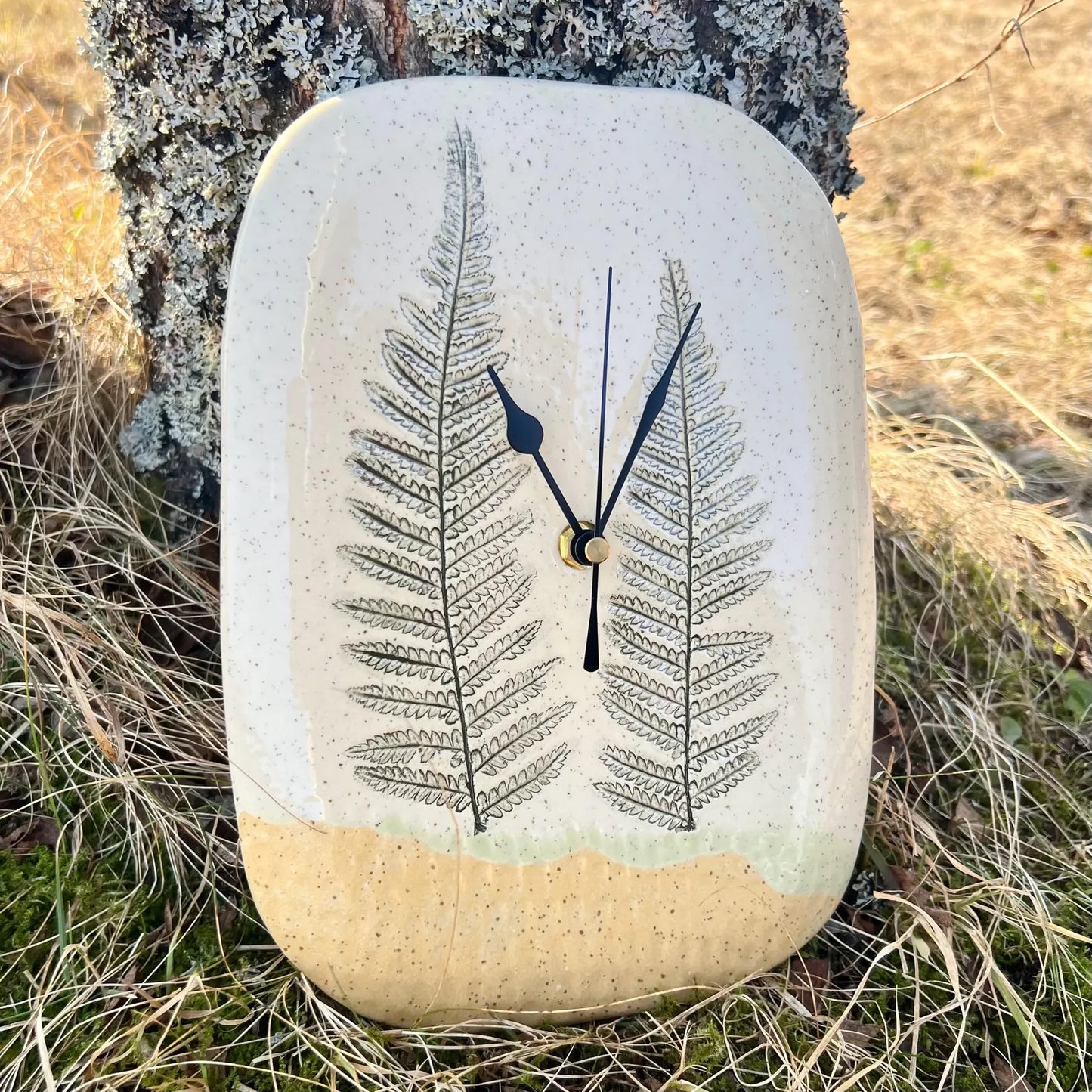 Sienas pulkstenis Papardes pļavā