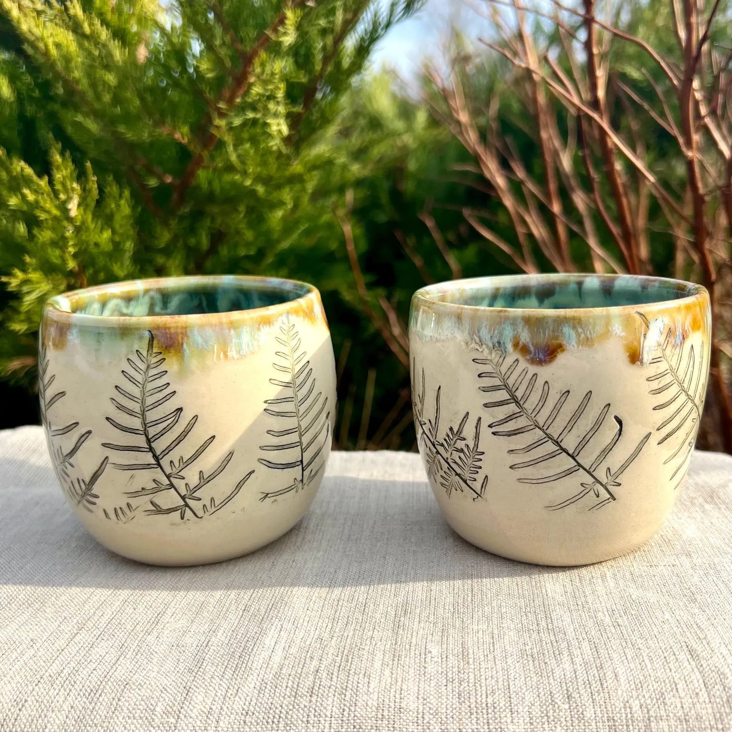 Glāzīte ar papardēm