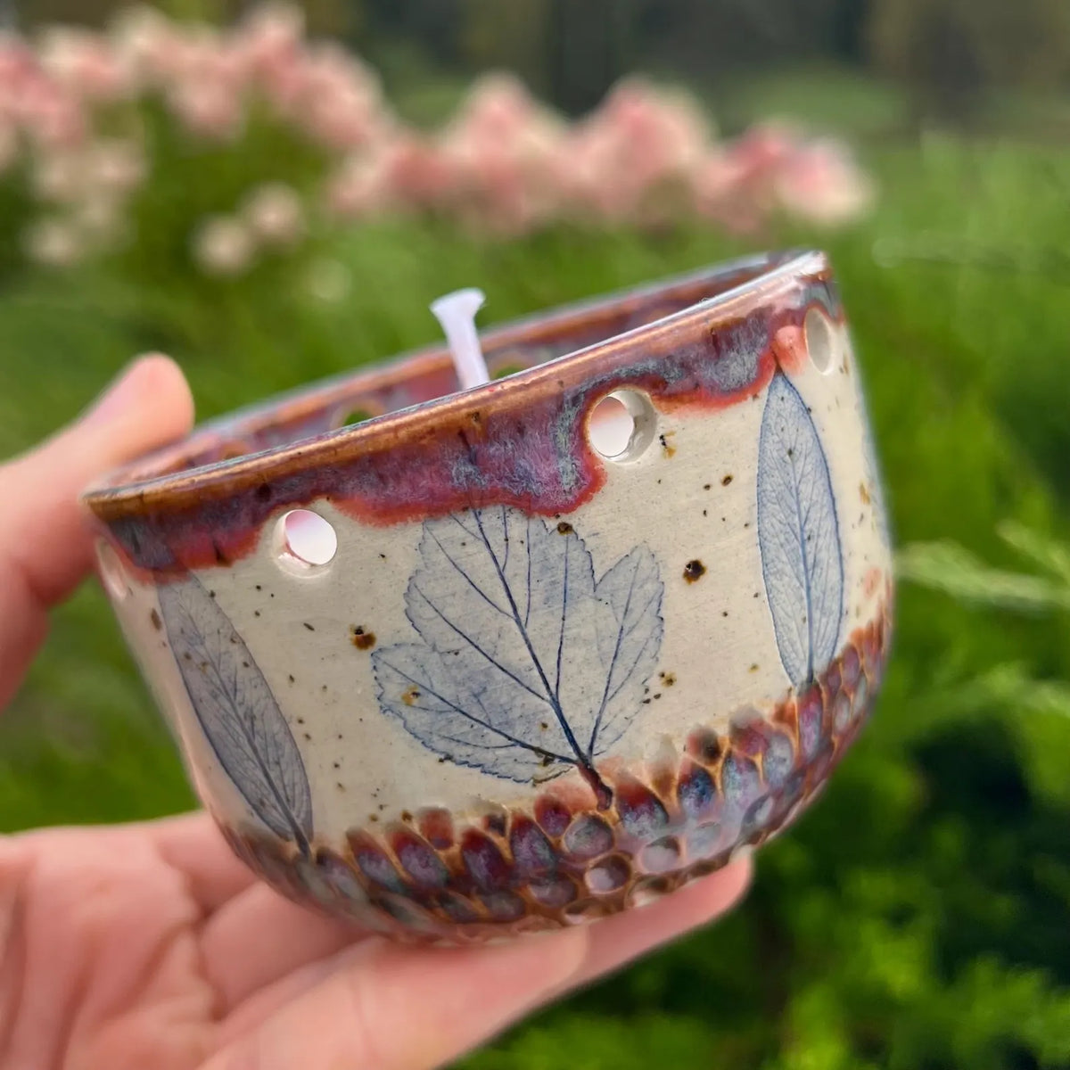 Candle Meadow