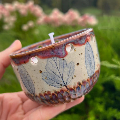 Candle Meadow