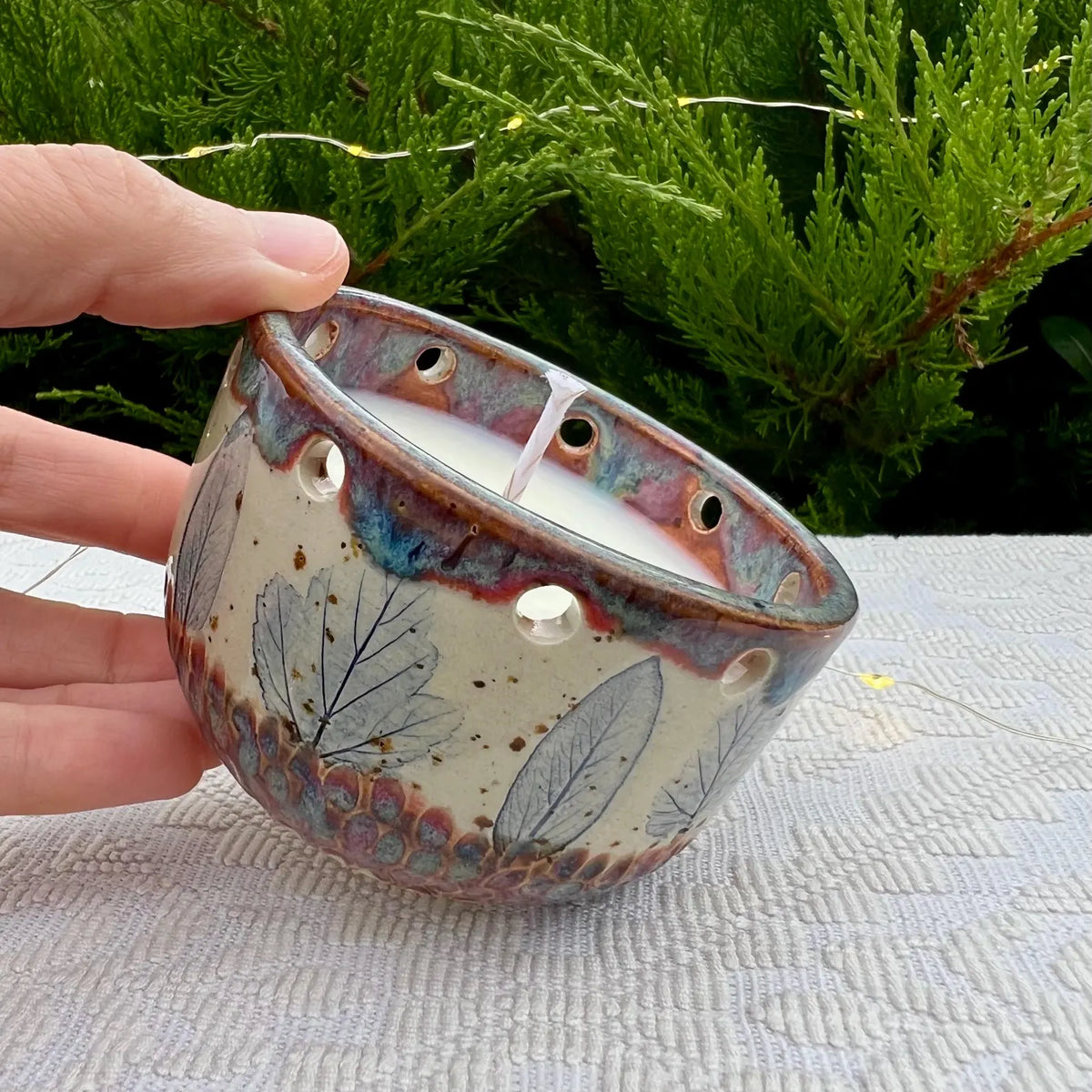 Candle Meadow