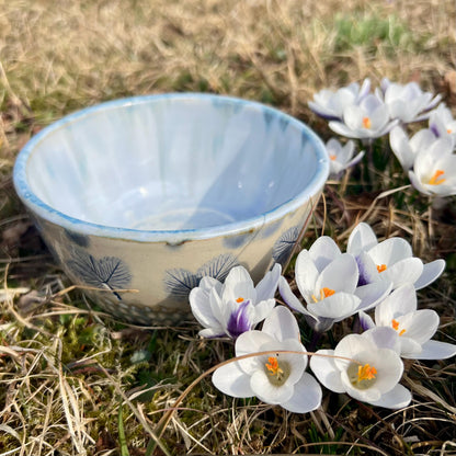 Bļodiņa Zilās zemenes